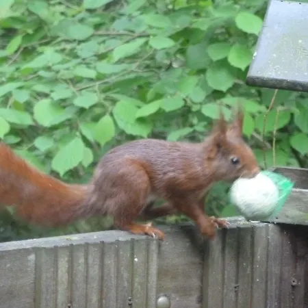 Sunclass 132 * Durbuy